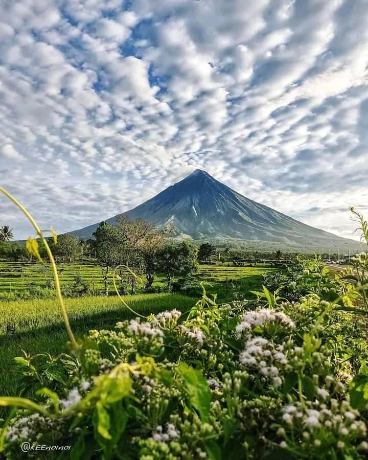 mayon volcano